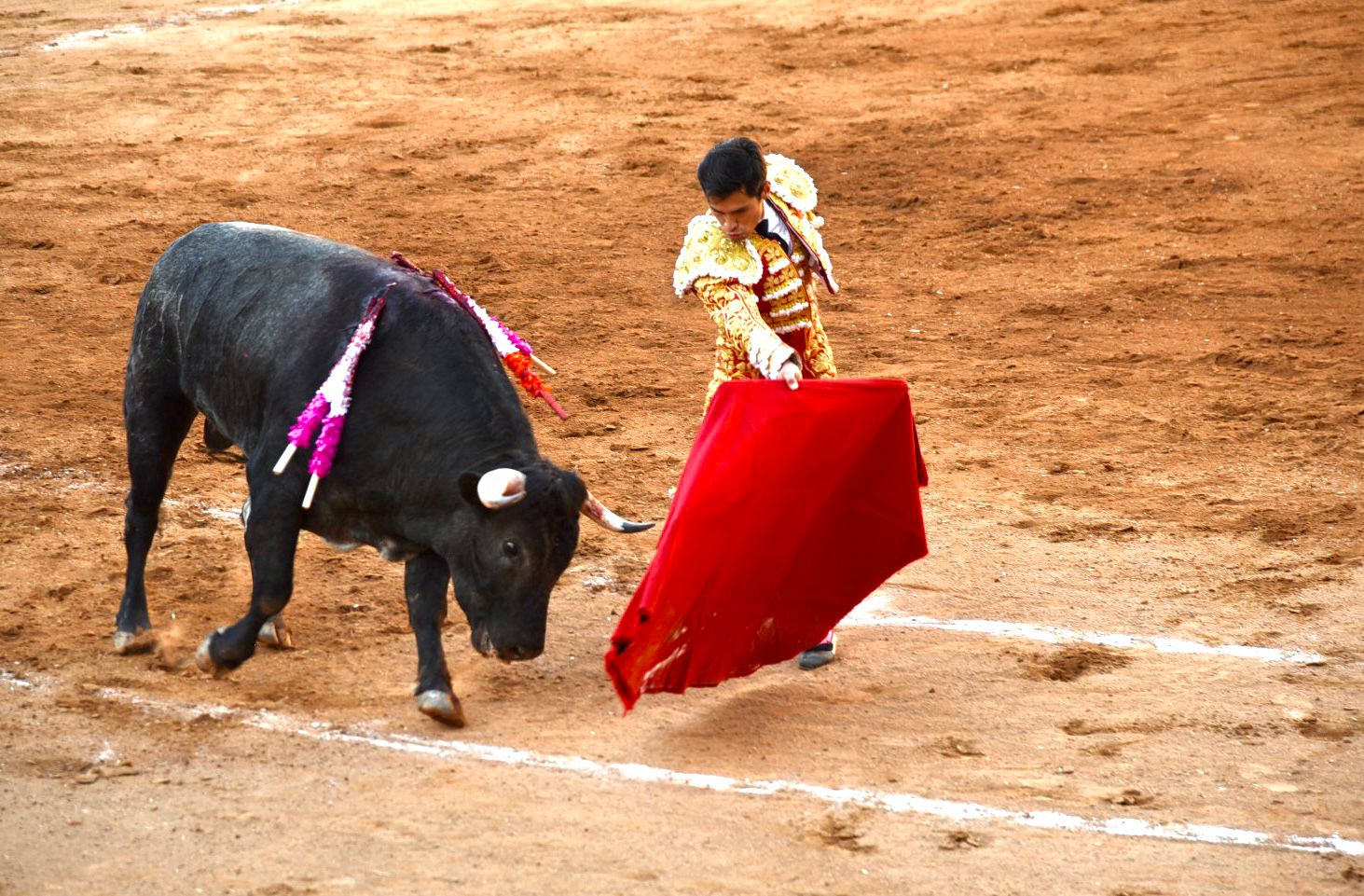 Con tres grandes carteles sigue el serial taurino 'Tlaxcala Capital 2023'